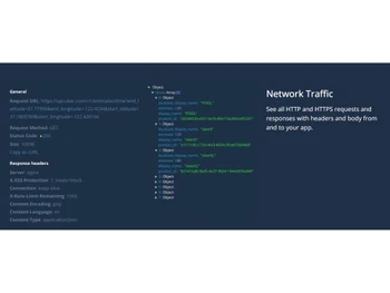 bugsee network