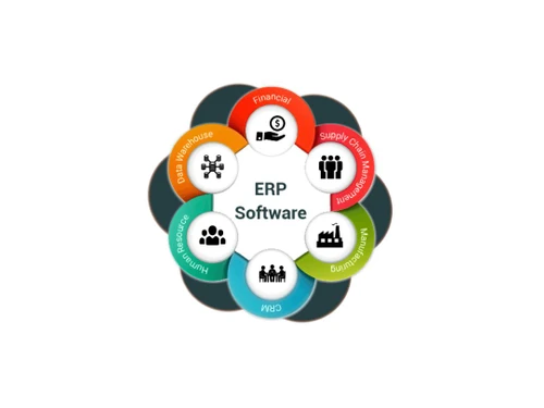 ntireerp customization