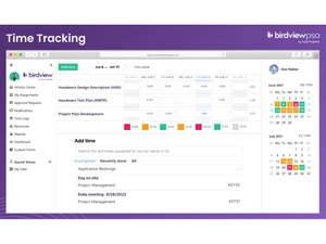 Birdview PSA Time Tracking