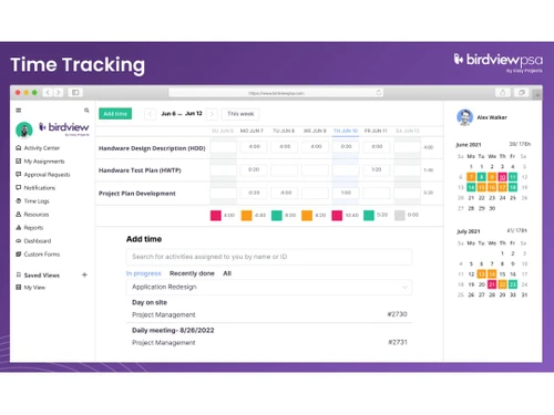 Birdview PSA Time Tracking