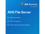 AVG File Server