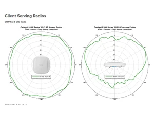 Cisco CW9166D1 Client Serving Radios