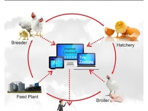 Sigma Poultry ERP Breeder