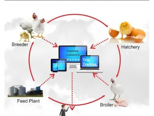 Sigma Poultry ERP Breeder