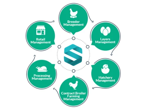 Sigma Poultry ERP Layers