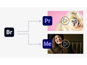adobe bridge features