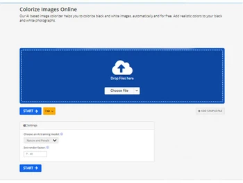 img2go colorize image