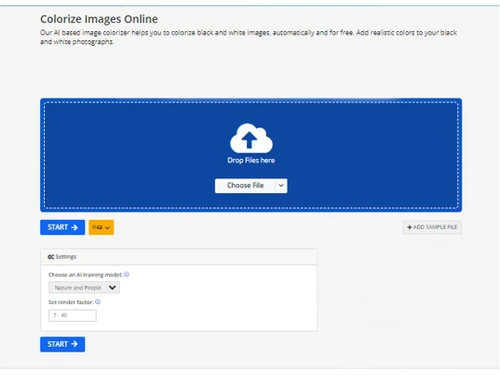 img2go colorize image