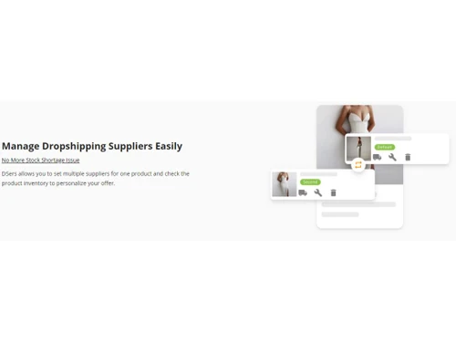DSers Dropshipping