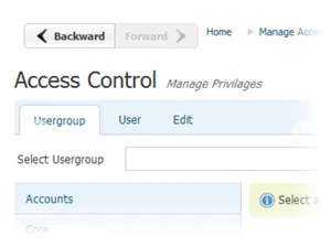 origami corebiz access