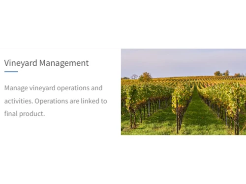 Fermsoft Vineyard Management