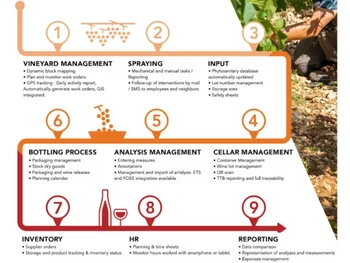 Process2Wine Vineyard