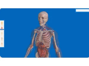 VictoryXR 3D Visualization