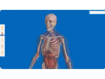 VictoryXR 3D Visualization