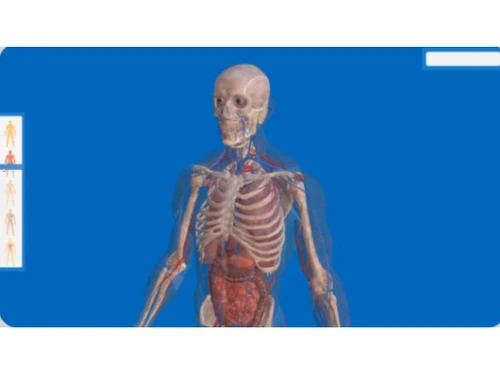 VictoryXR 3D Visualization