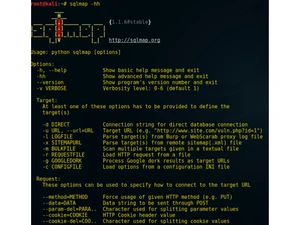 sqlmap settings