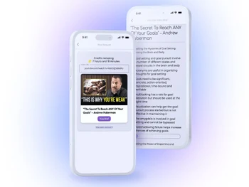 vidcatter io summary