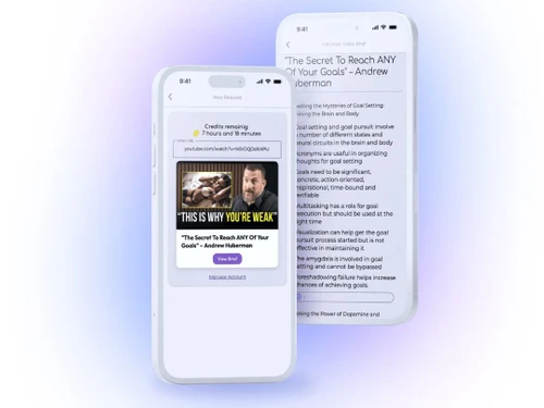 vidcatter io summary