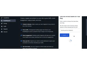 koala video summarizer settings