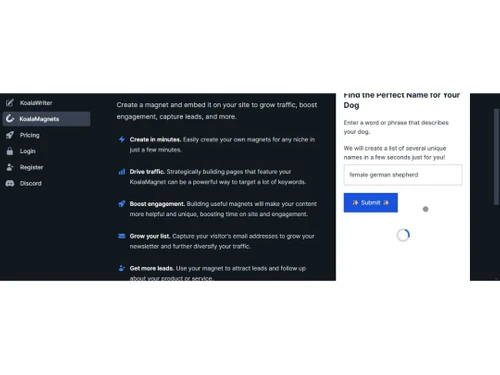 koala video summarizer settings