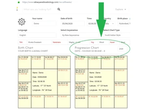 rva astrology software dashboard