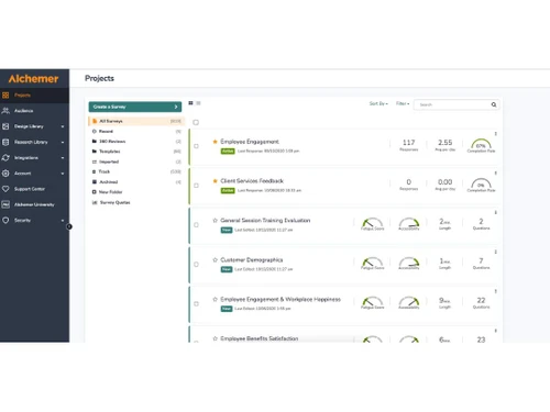 Alchemer Survey Projects