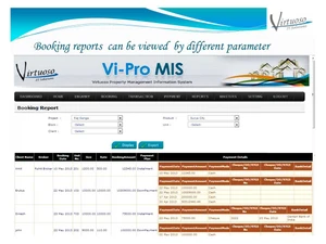 vi-pro-mis report