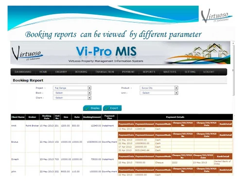 vi-pro-mis report
