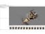 Agisoft Metashape 3D Model
