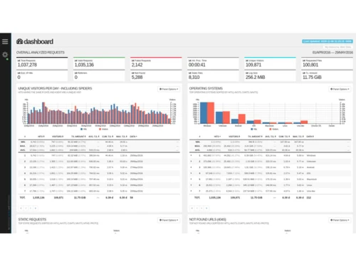 goaccess dashboard