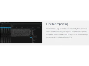 netwitness logs reporting