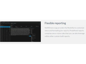 netwitness logs reporting