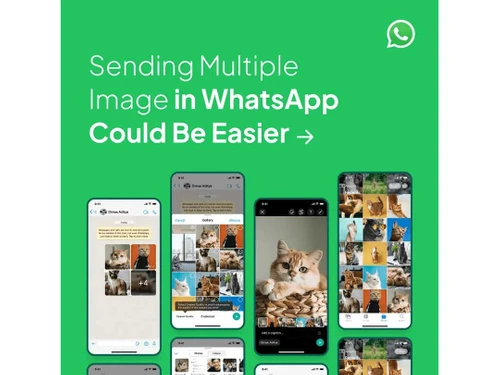 Saasyto Bulk message