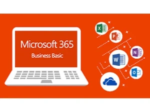 microsoft 365 business basic no teams mailboxes