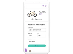 Splitit Payment Information