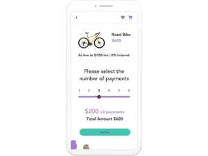 Splitit Payment Number