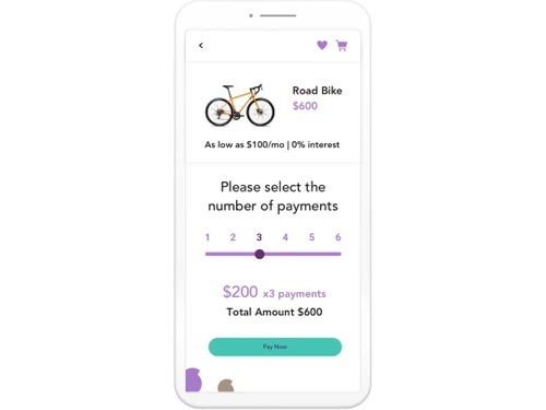 Splitit Payment Number