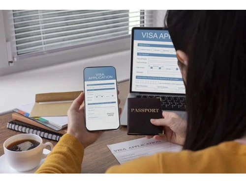 MiniAILive Verification