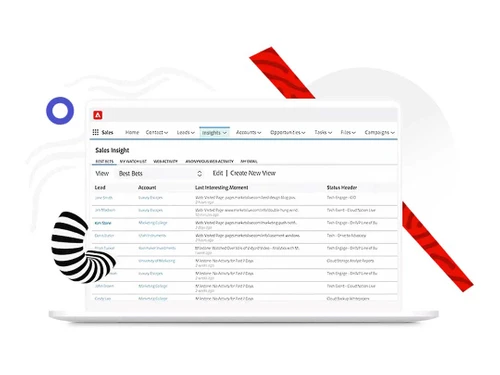 adobe marketo engage sales insight