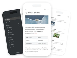 Bear notes