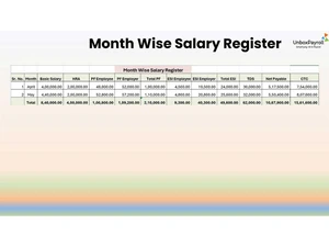 Unboxpayroll month report