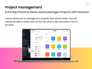Asana project management