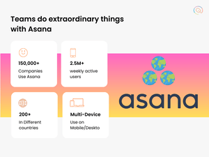 asana stats