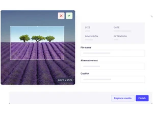 Strapi File Management