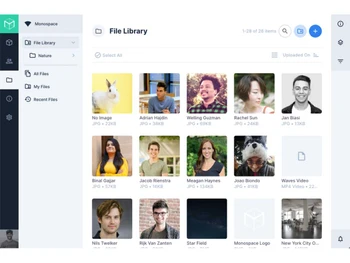 directus file library