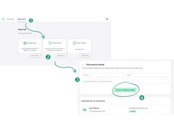Icypeas single search