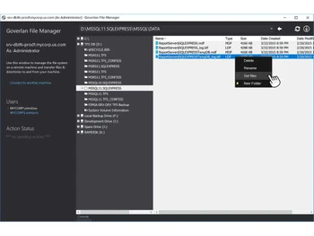 EV Reach remote file transfer