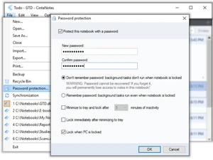 cintanotes-password protection