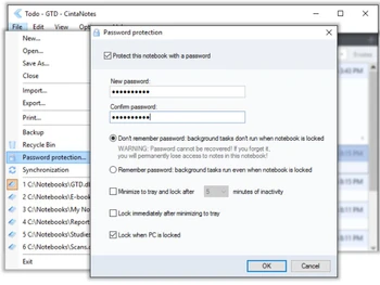 cintanotes-password protection