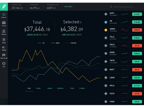 Robinhood stock panel